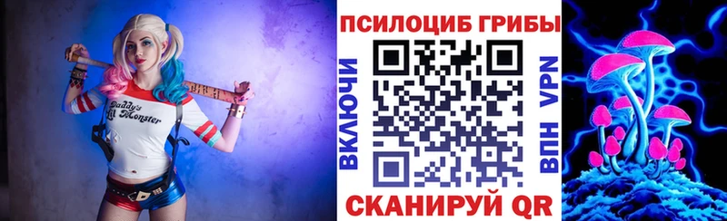 Купить где  Орёл  Псилоцибиновые грибы Psilocybine cubensis 